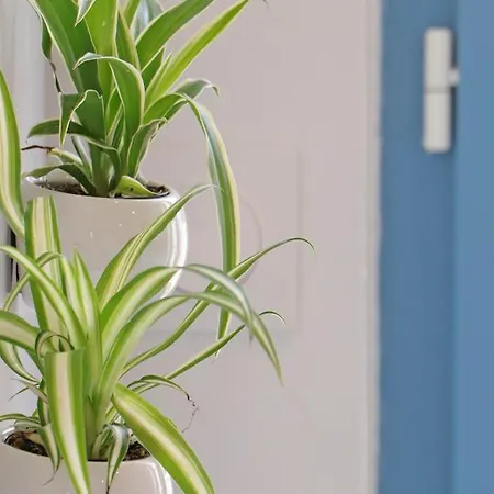 Maison De Charme Au Coeur Du Bourg Avec Jardin Et Toutes Commodites Incluses A Sap-en-auge - Fr-1-497-146 *