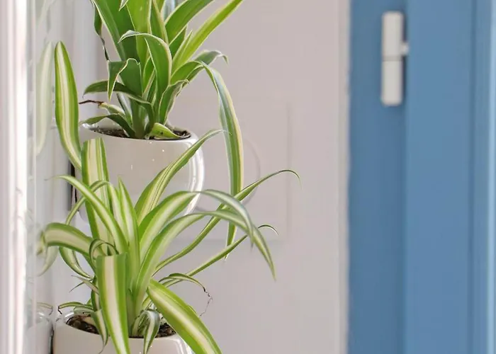 別荘 Maison Lumineuse Au Coeur Du Sap, Jardin Et Jeux Pour Enfants - Fr-1-497-146 Le Sap